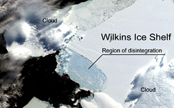 News/04/IcebergWilkins_nhp.jpg