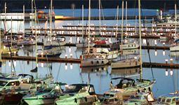 News/06/MarinaTeos_1nhp.jpg