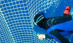 News/06/SeaShepherdTonno_1nhp.jpg