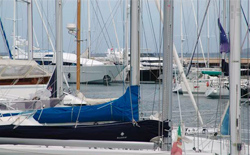 News/11/MarinaScarlino_2nhp.jpg