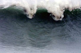 News/12/OndaOceanica_SVN.jpg