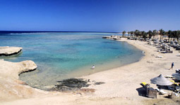 News/12/SharmSheikh2010_1nhp.jpg