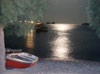 foto dal mondo
