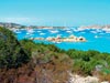 foto dal mondo