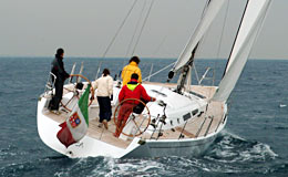 Frers 49