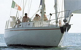 Nelson 46
