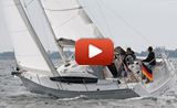Delphia 31